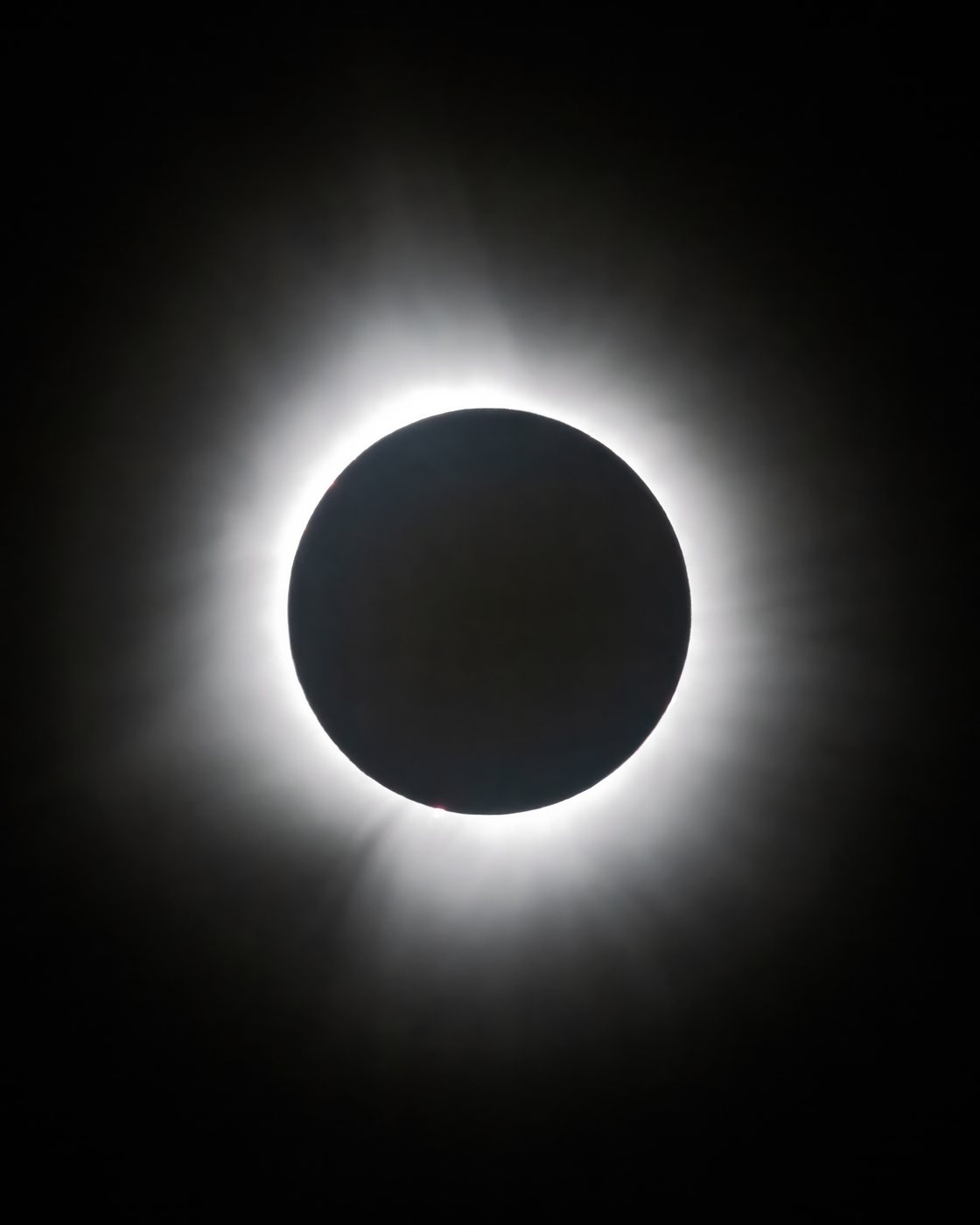 Coronal Revelations by intrepid: a photograph of a total solar eclipse, the black disc of the moon ringed by the sun's white corona against a black sky